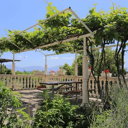 And With Parking Space Gradac, Makarska - 6660 Gasthof 2*